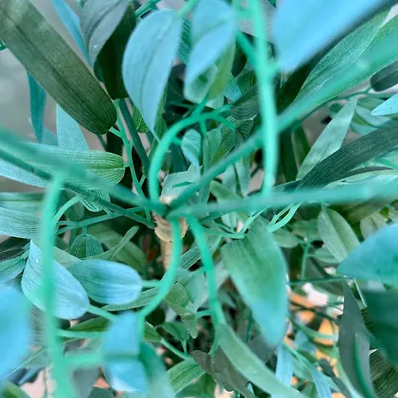 Centro Peatonal 5 Con Balcon Apartment Vigo